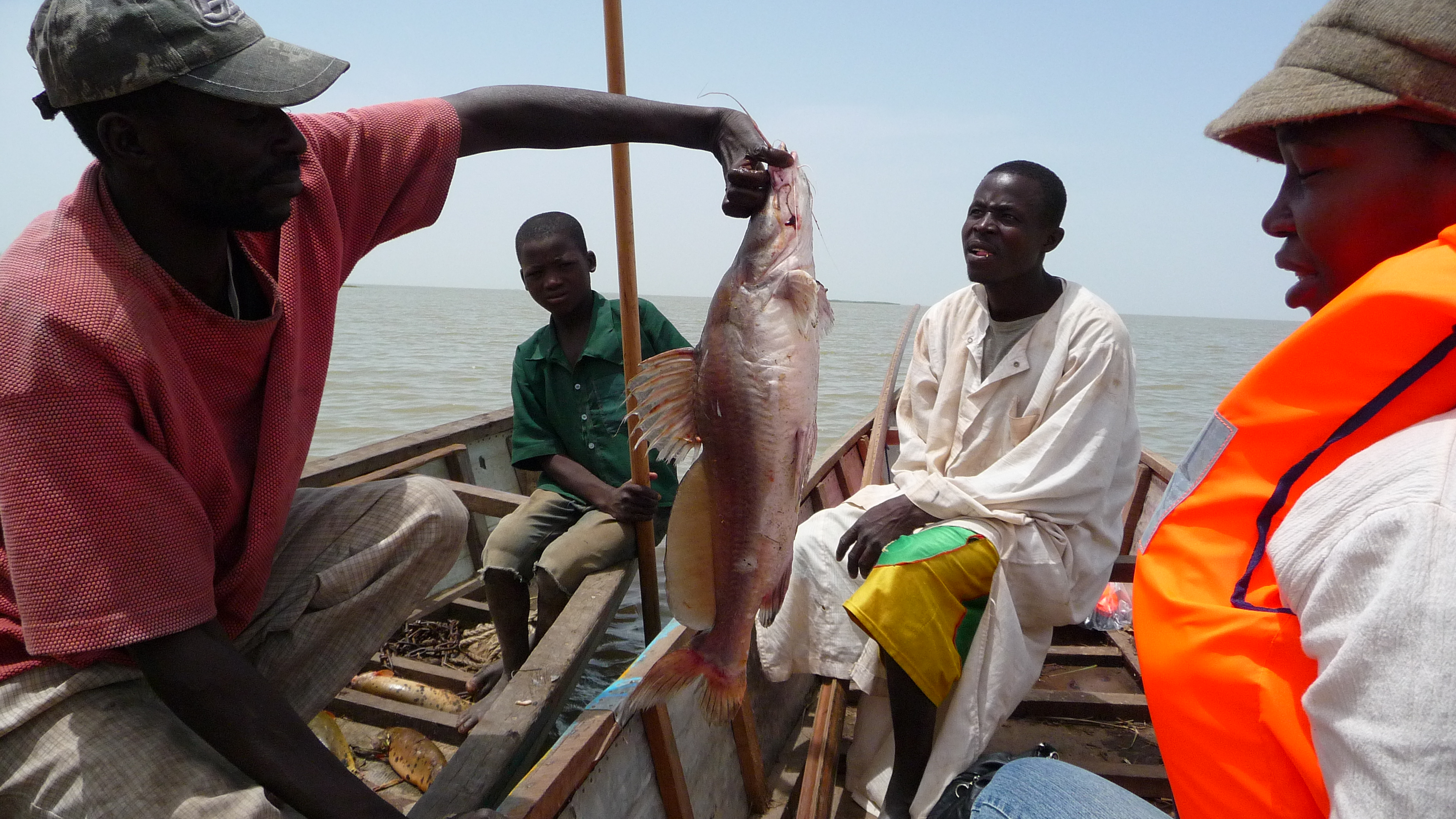 Résultat de recherche d'images pour "Dernière pêche au lac Tchad"