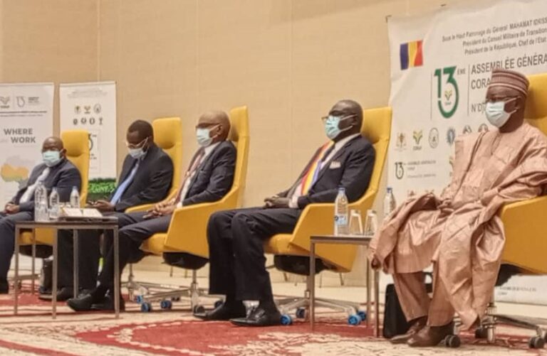 Le Conseil ouest et centre africain pour la recherche et le développement agricole tient sa 13e assemblée générale à N’Djaména