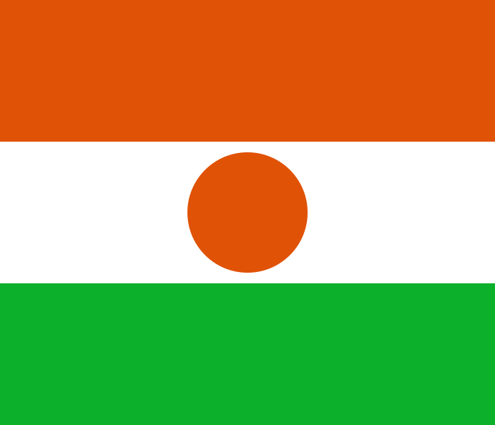 Niger : autorisation d'exploitation d'hydrocarbures à la société chinoise CNPC