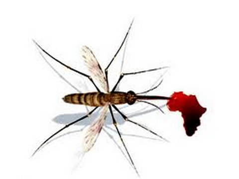 L'Afrique du Sud sur la bonne voie pour éliminer le paludisme