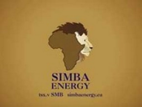 Pétrole: le Tchad retire les permis de Simba Energy