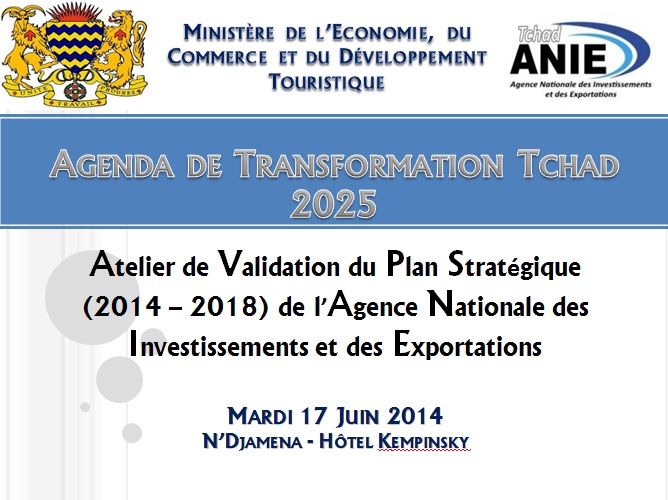 Transformation Tchad 2025 : l’ANIE s’insère dans cette vision en élaborant son Plan Stratégique 2014-2018