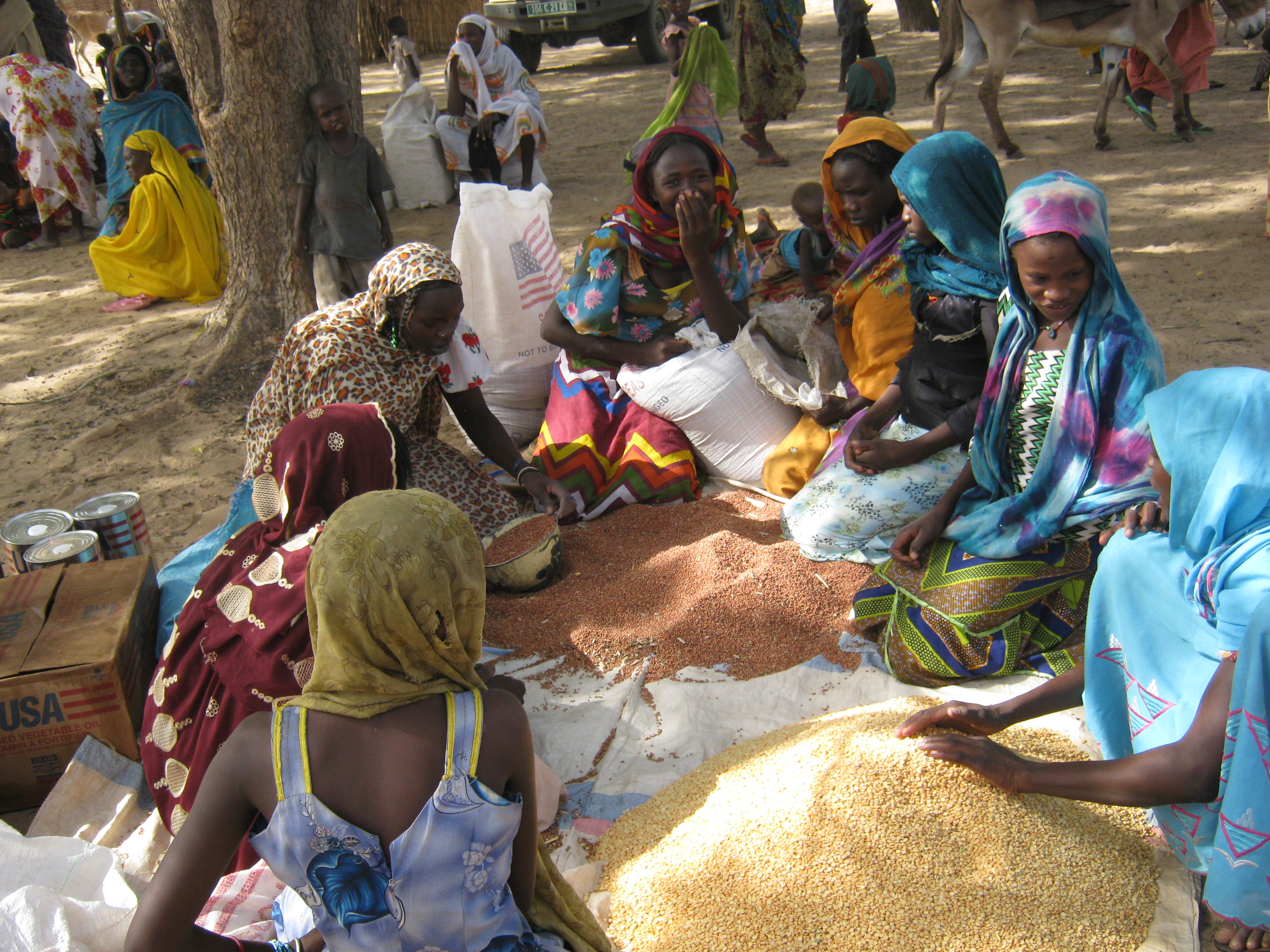 10 choses à savoir sur la faim au Tchad