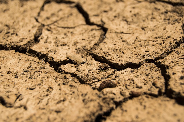 L’Afrique demande le soutien financier pour faire face à la sécheresse