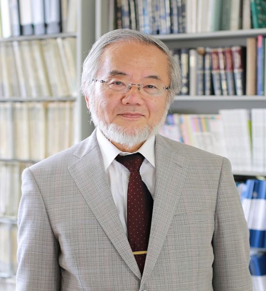 Le prix Nobel de médecine attribué au Japonais Yoshinori Ohsumi