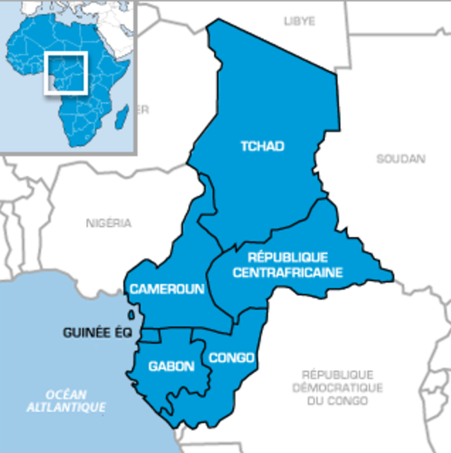 Afrique centrale: les tensions politiques persistantes entravant les progrès vers la paix, selon l’envoyé de l’ONU
