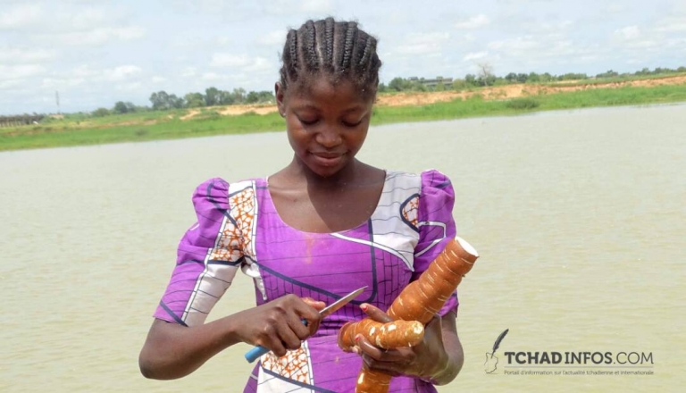 Human of N’Djamena : Solkem Gloria, vendeuse de manioc