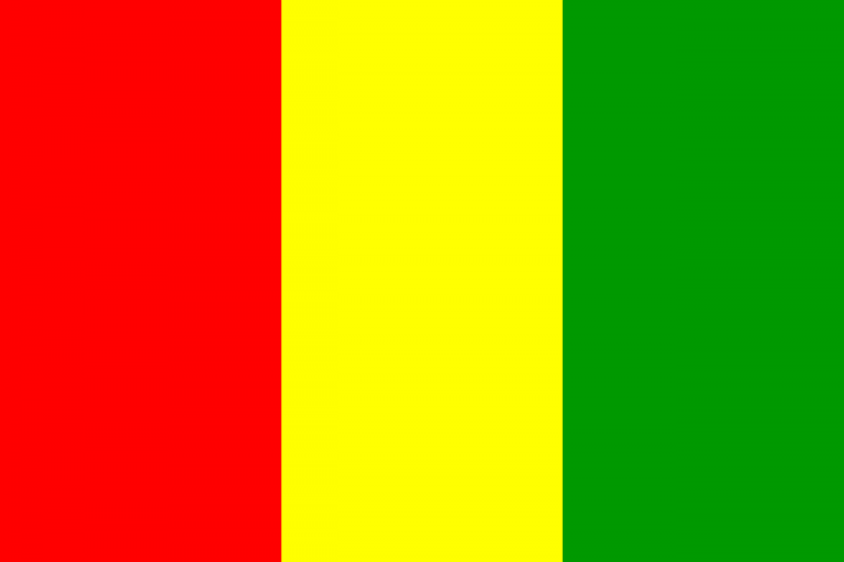 Guinée : un éboulement de terre fait cinq morts et de nombreux blessés à Conakry