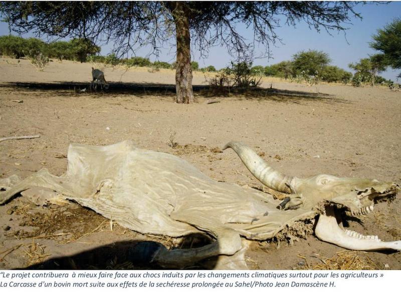 Tchad : Le Gouvernement et le PNUD lancent la formulation du projet ‘’Gestion Communautaire des Risques Climatiques’’