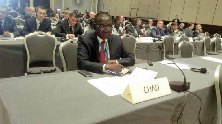 Le Tchad prend part à la 8ème  session de l’Assemblée de l’Agence internationale pour les énergies renouvelables