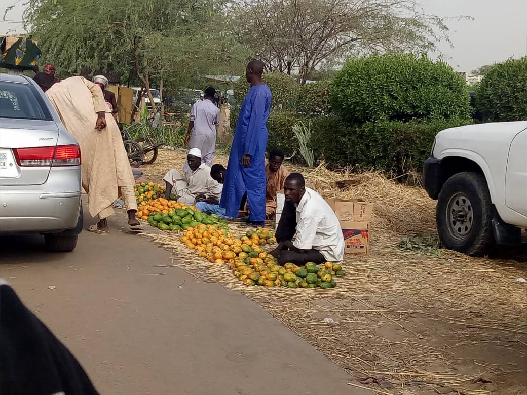 N’Djamena : les vendeurs de mangues envahissent les bordures de route
