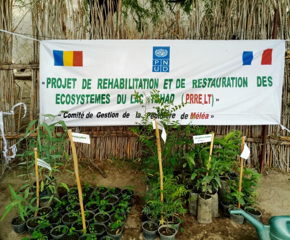 Environnement : le PNUD appuie un projet de sauvegarde des écosystèmes au Lac Tchad
