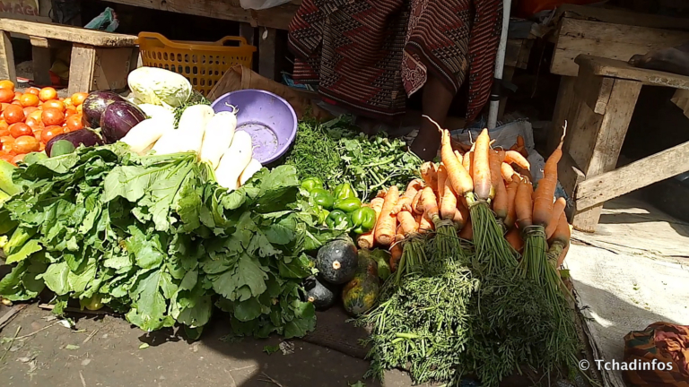 N’Djamena : les étals dans nos marchés sont dans un tel état
