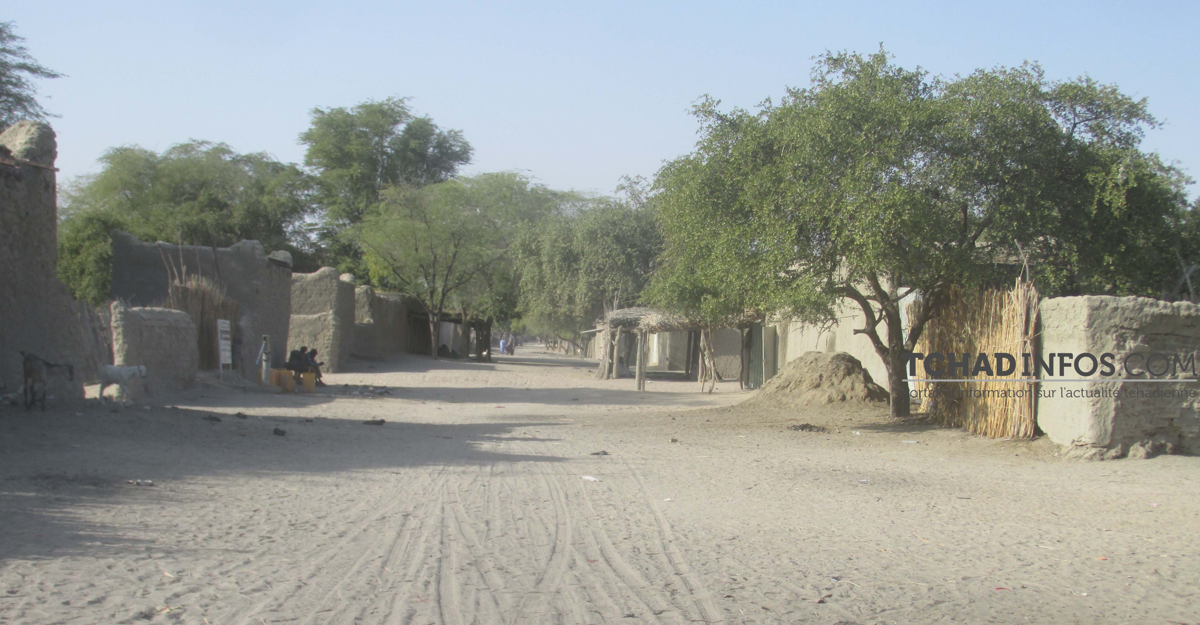 Tchad : un sud-africain abattu par son garde-corps au Lac