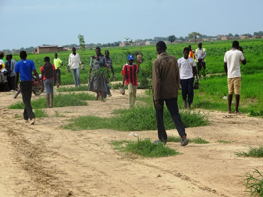 Environnement : Des jeunes plantent 883 arbres au cimetière de Toukra