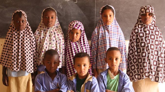 Niveau du système éducatif 3/11 : quand la baisse de niveau s’accentue au Niger