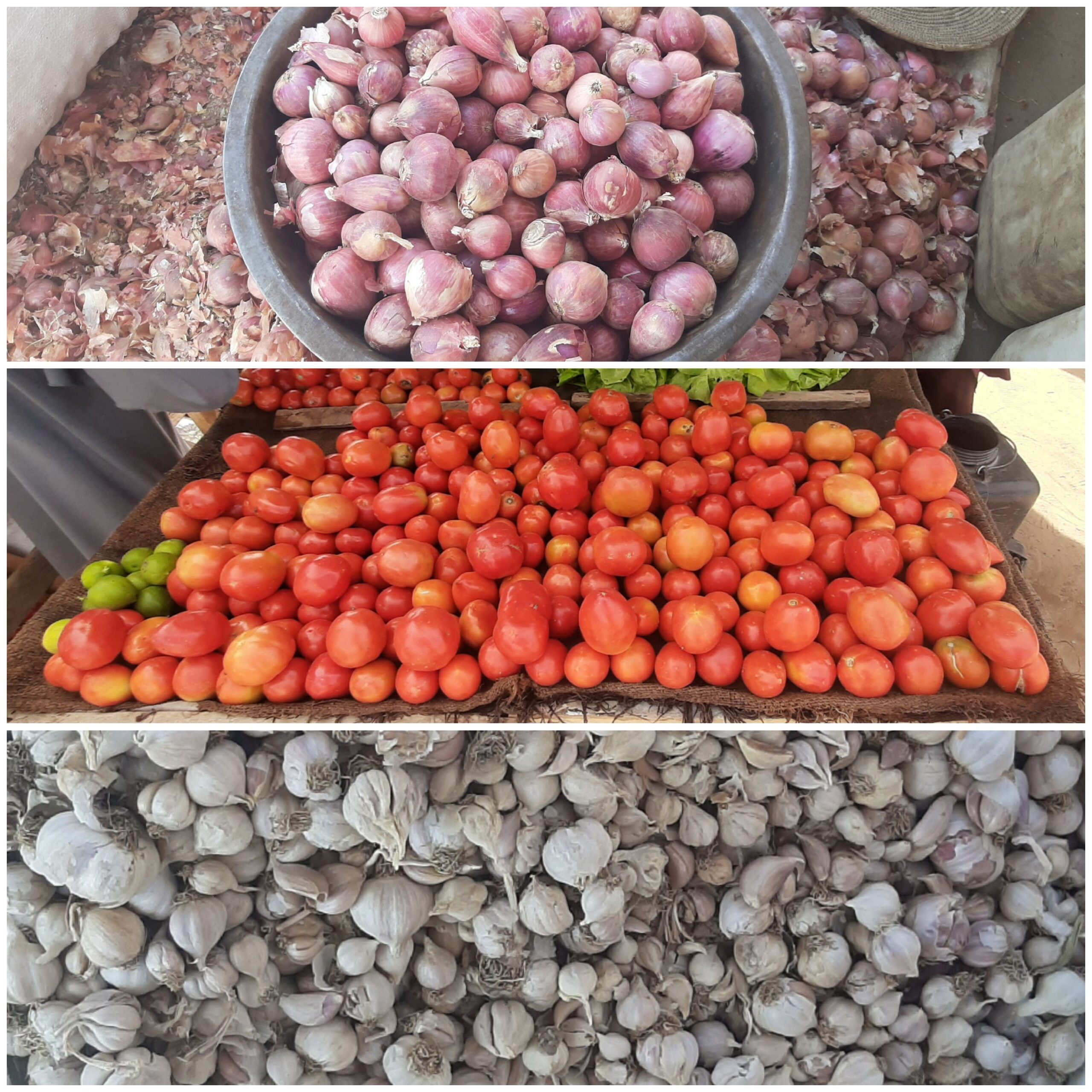 Tchad : le prix de l’ail, de l’ognon et de la tomate fait jaser les ménages
