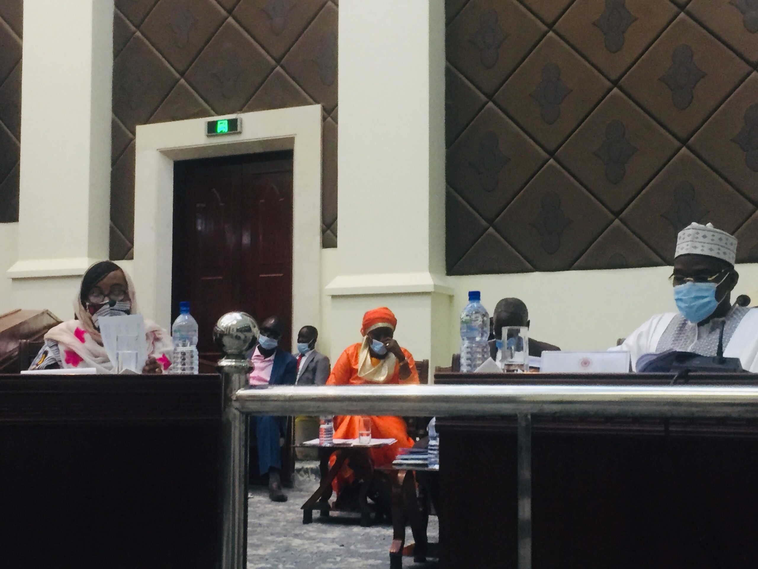 Tchad : la Représentation nationale adopte le projet de loi portant révision constitutionnelle