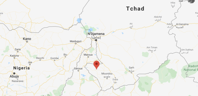 Mayo-Kebbi Ouest : arrestation d’un jeune présumé auteur de la mort de deux personnes