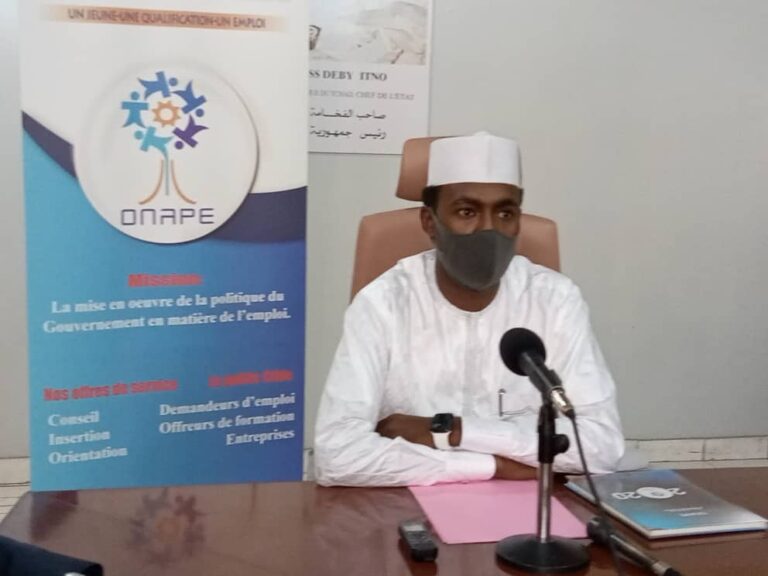 Tchad : trois programmes de l’ONAPE pour absorber le chômage des jeunes