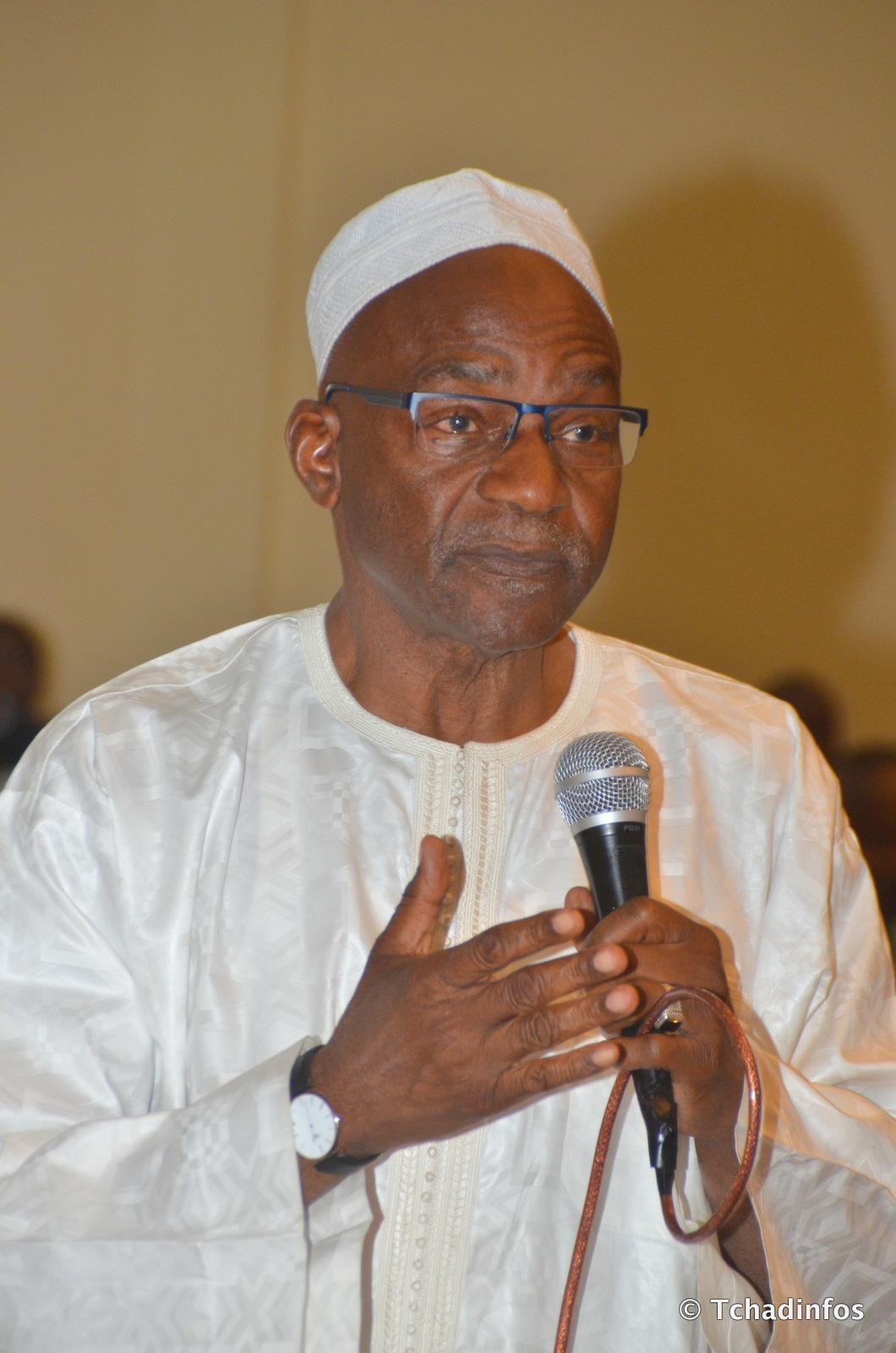 Tchad: la réaction de Saleh Kebzabo par rapport au poste de  vice-président et l’âge pour être candidat à la présidentielle