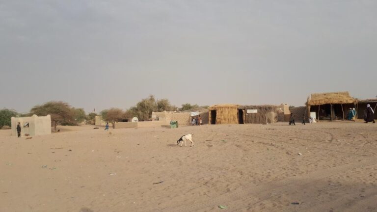 Tchad : Daboua, une localité sécurisée et appuyée par les ONGs