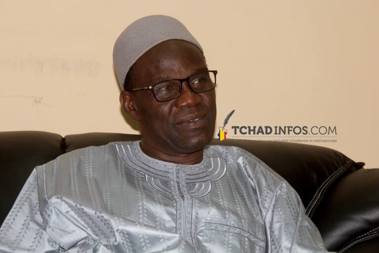 Tchad : la CTDDH exige la démission de Djimet Arabi, ministre de la justice
