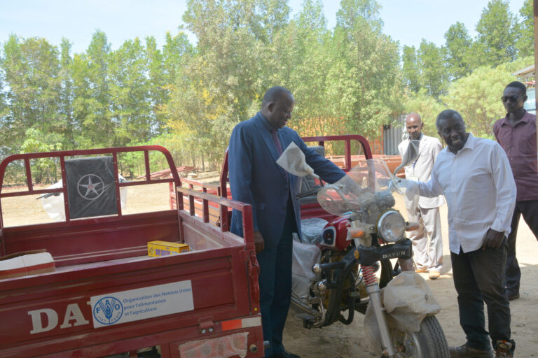 Tchad : la laiterie Artine appuyée par la FAO