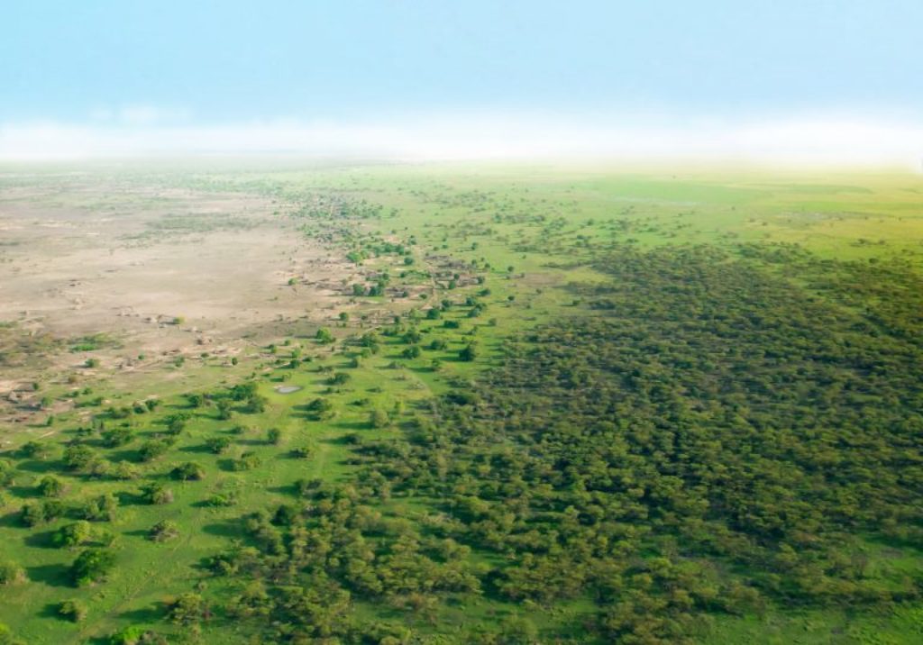 Sahel : 14 milliards de dollars alloués  à l’initiative de la grande muraille verte