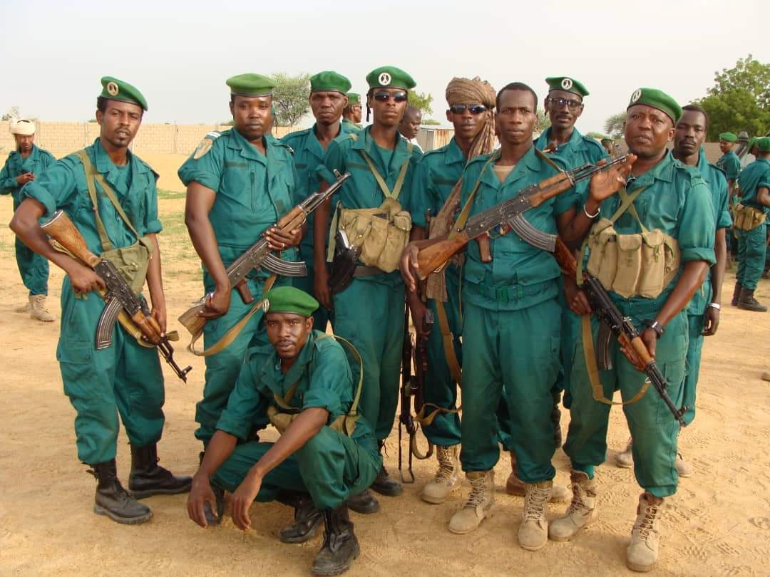 Tchad : des éléments de la Garde forestière et faunique attaqués