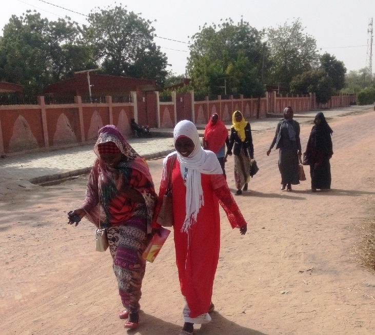 Tchad: partage d’héritage, le sexe féminin victime du poids de la tradition