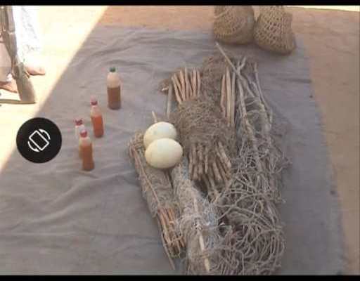 Protection de la faune : des braconniers arrêtés avec de l’huile et  des œufs d’autruche
