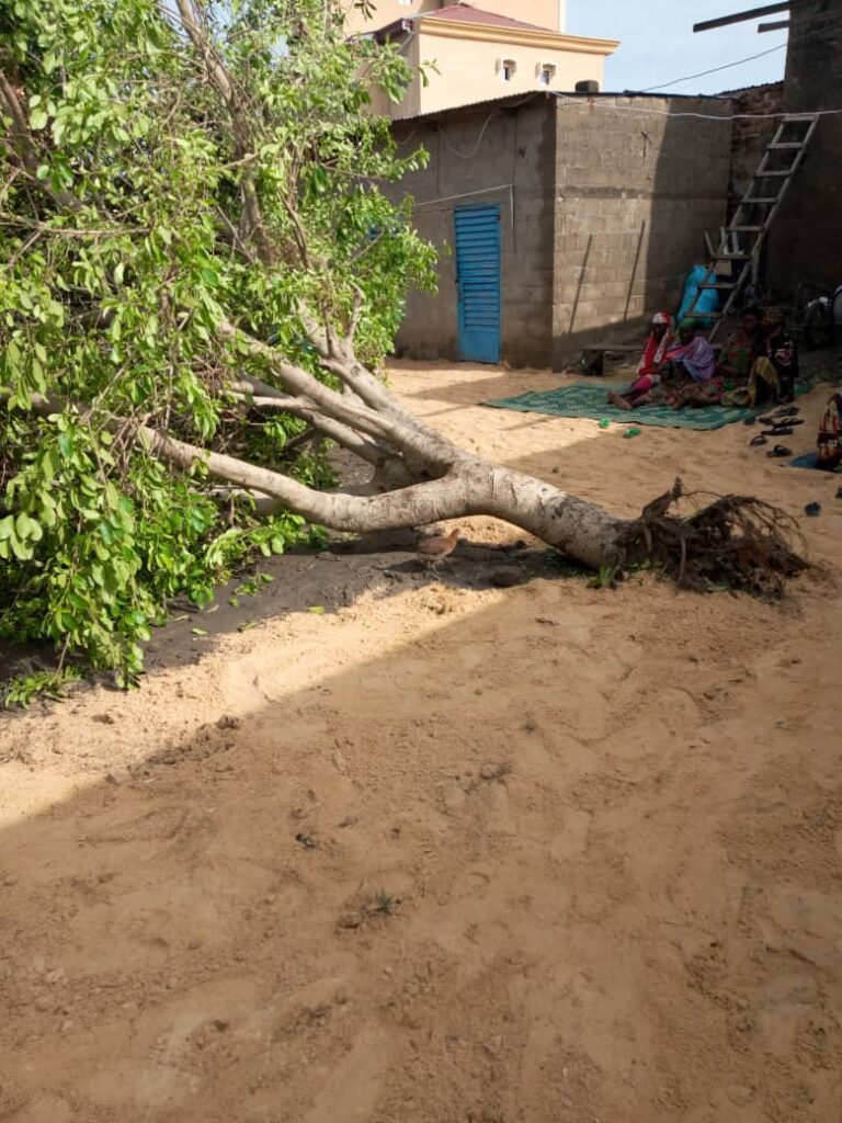 Tchad : au moins un mort après une grosse pluie à N’Djamena