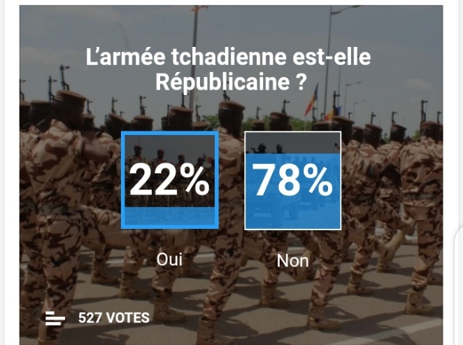 SONDAGE DE LA SEMAINE : voici ce que pensent nos lecteurs de l’armée tchadienne
