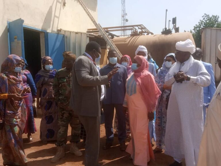 Tchad : une centrale solaire de 2 megawatts sera construite à Doba