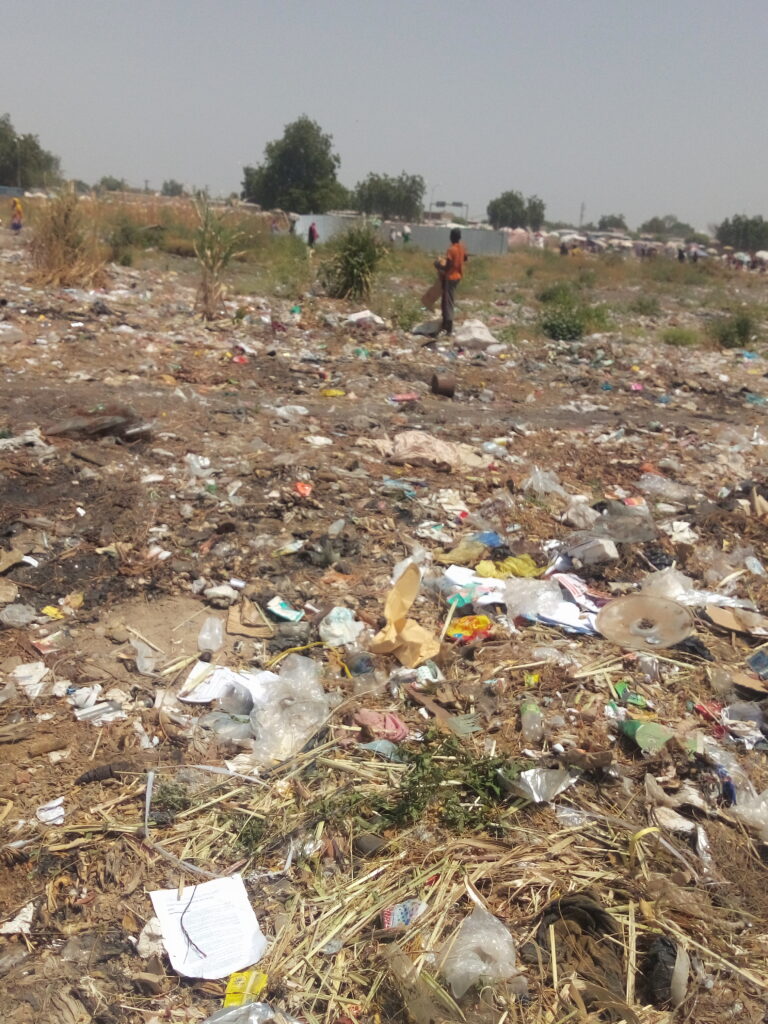 Tchad : la poubelle, moyen de subsistance des mineurs