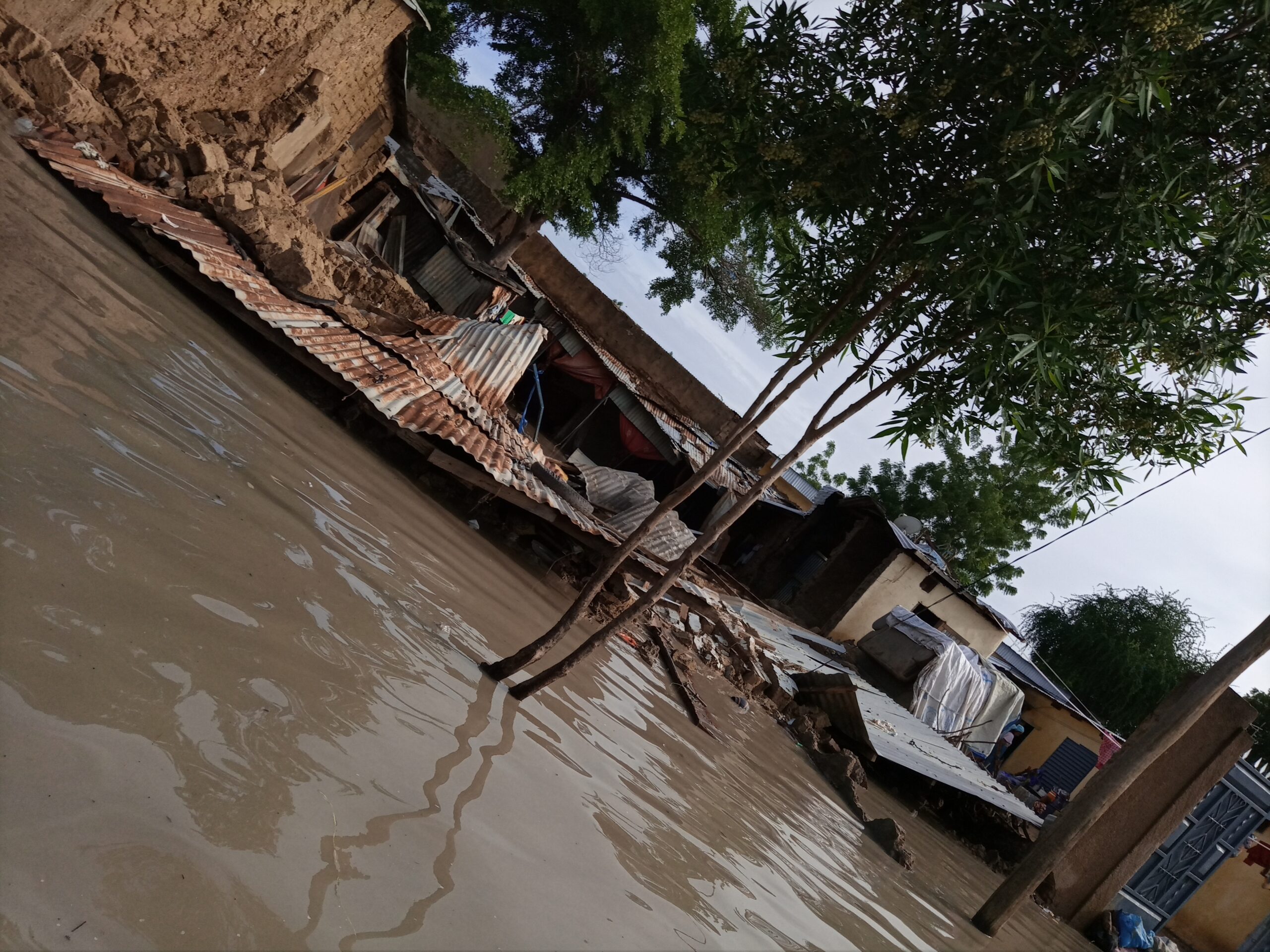 Tchad : une organisation appelle le gouvernement et ses partenaires à intervenir en faveur des sinistrés