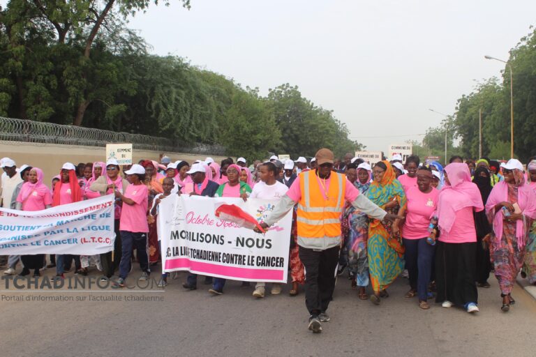 Octobre rose : la ligue Tchadienne pour la Lutte contre le Cancer a organisé une marche Solidaire