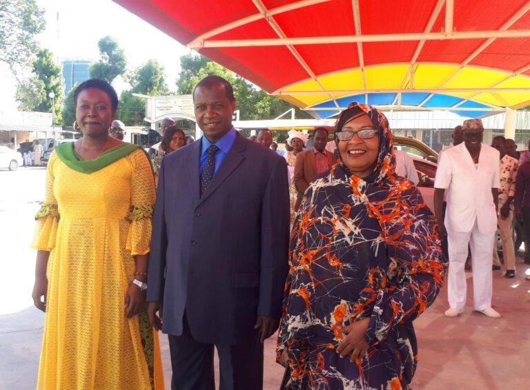 Politique : Ndolenodji N. Alixe passe la main à Oumar Yaya Hissein au  ministère de la Communication