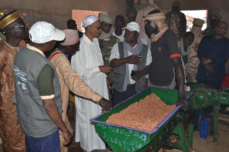 Tchad : pour lutter contre l’insécurité alimentaire le PARSAT investit dans la résilience