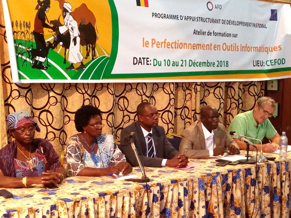 Tchad : le PASTOR renforce les capacités des agents du ministère de l’Elevage en informatique