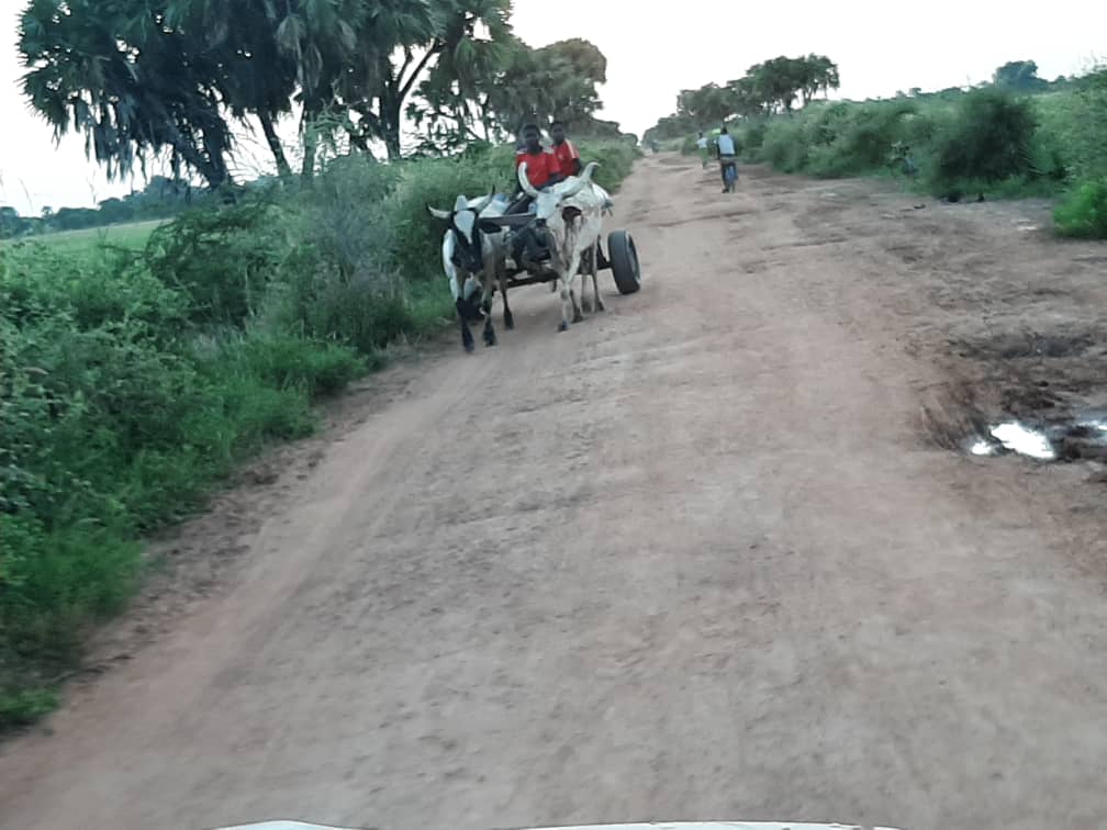 Tchad : l’état de la route de Laï pénalise la population