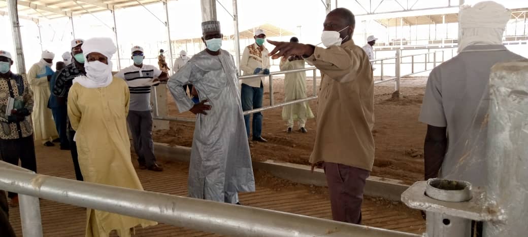 Tchad :  le complexe industriel laitier de Mandélia sera opérationnel d’ici fin 2020