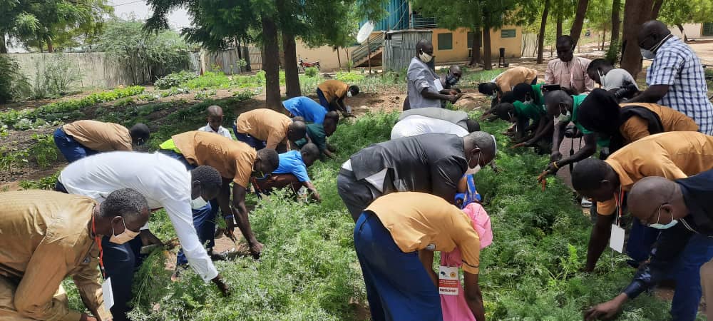 Tchad : 30 élèves formés dans le domaine de l’agriculture