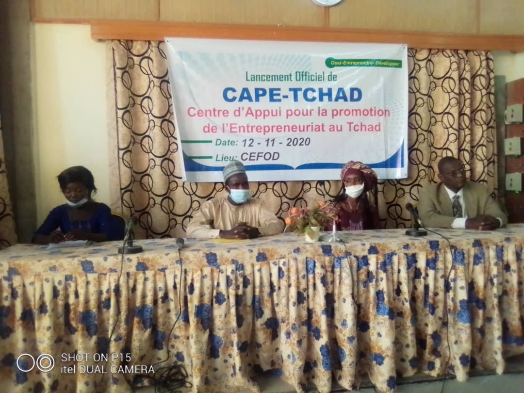 Tchad : Combattre le chômage des jeunes, le crédo de CAPE-TCHAD