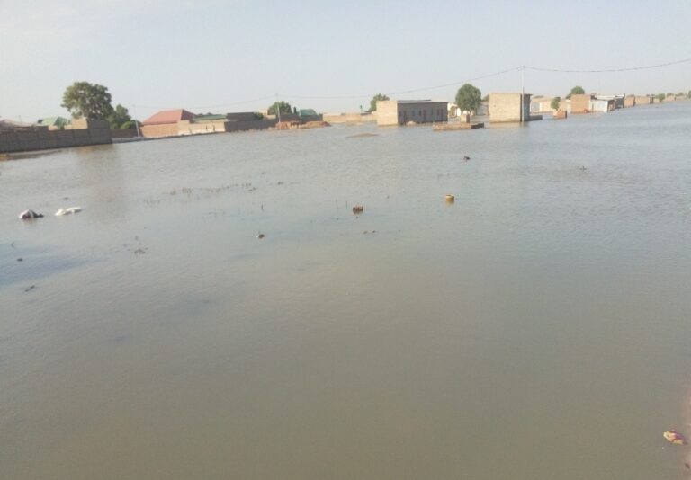 Inondations: vers la fin des souffrances des habitants de Walia et Toukra?