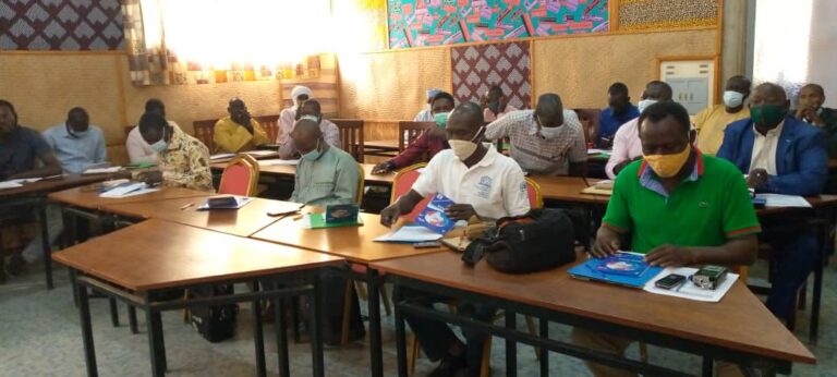 Tchad : le gouvernement et le PNUD forment les hommes des médias sur le changement climatique