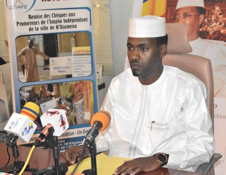 Tchad : 1270 demandeurs d’emploi seront formés par l’ONAPE