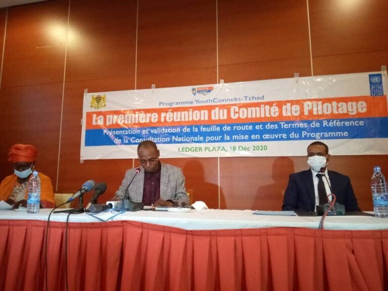 Tchad : première rencontre du comité de pilotage du programme Youth Conneckt