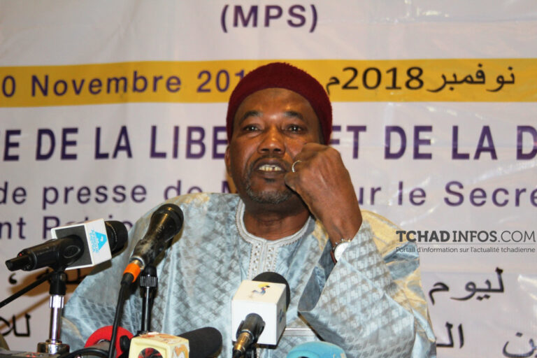 Tchad : Mahamat Zene Bada devient président du CNDP